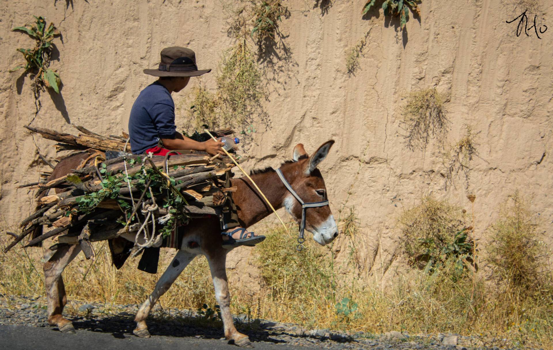 A man riding a donkey with sticks on his back.