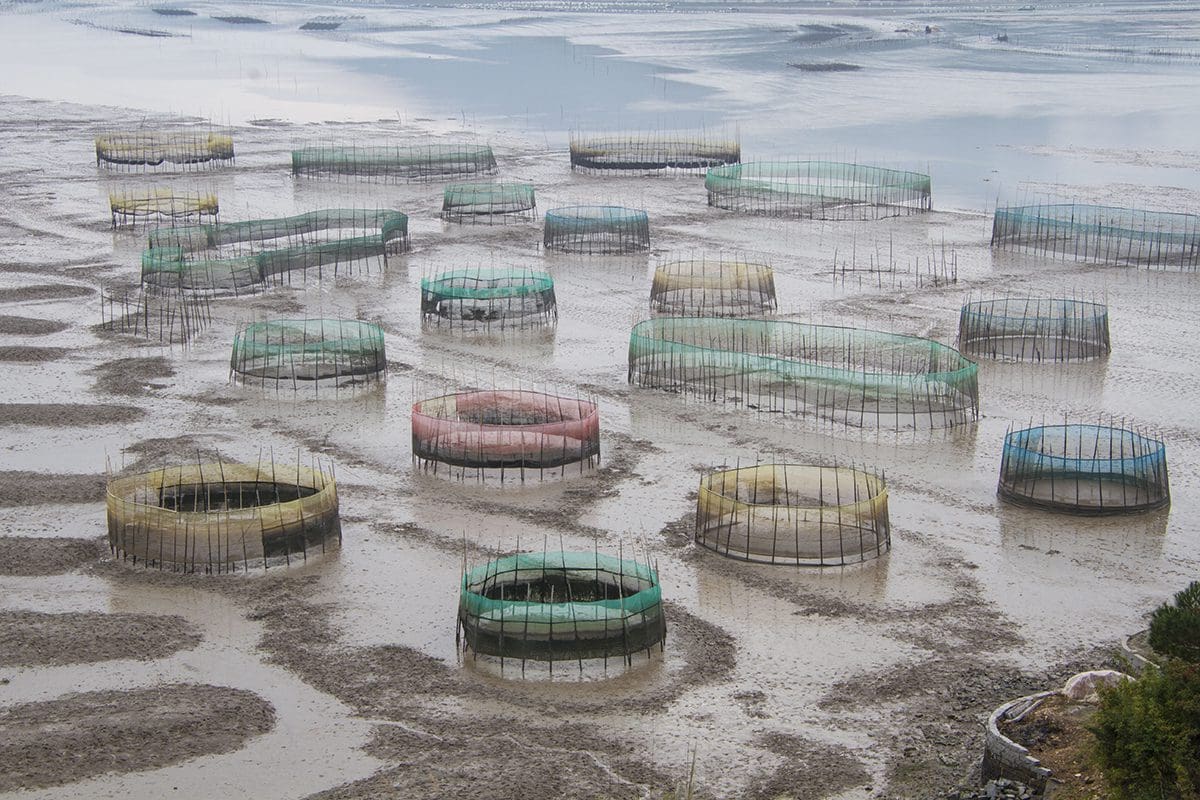 A group of fish cages in a muddy area.