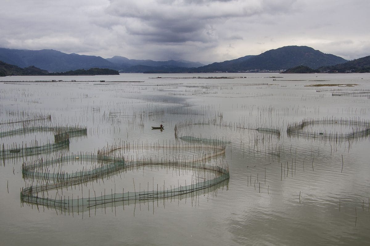 Fishing nets in a lake with mountains in the background.