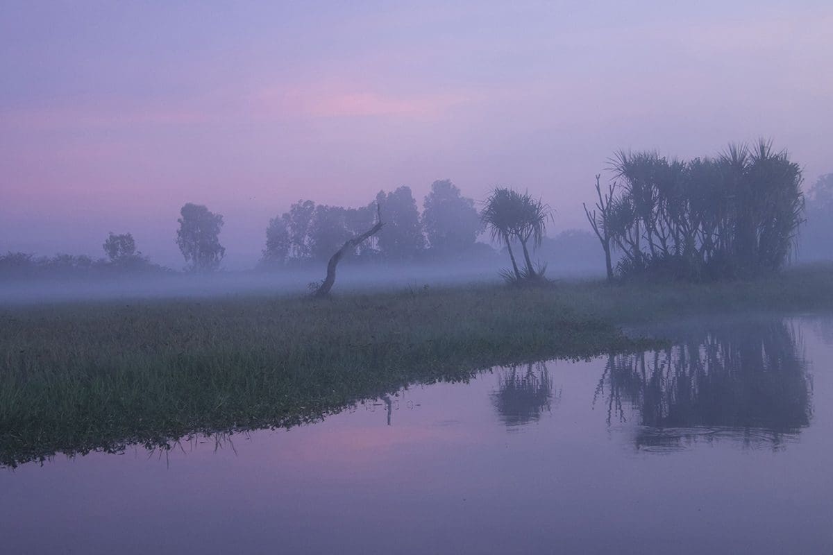 A misty sunrise over a river with trees in the background.