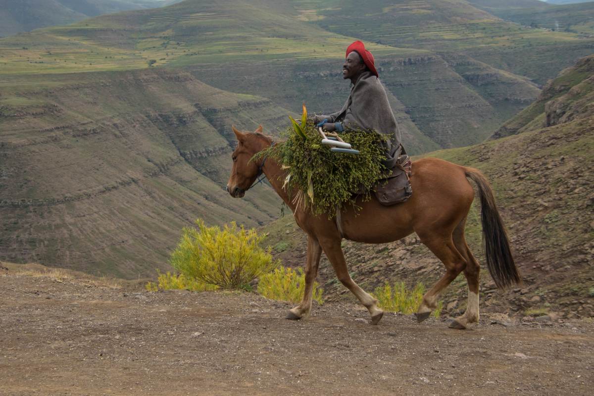 A man riding a horse in the mountains.