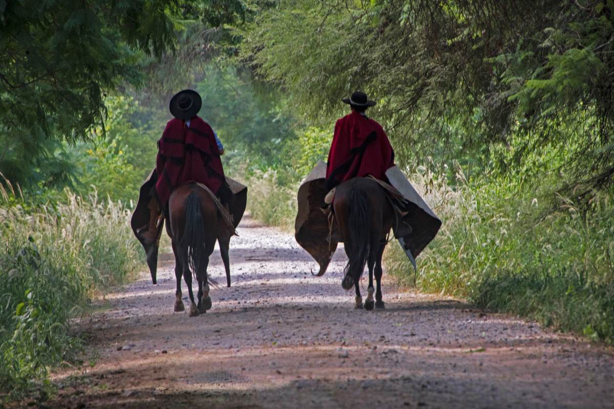 Two people riding horses down a dirt road.