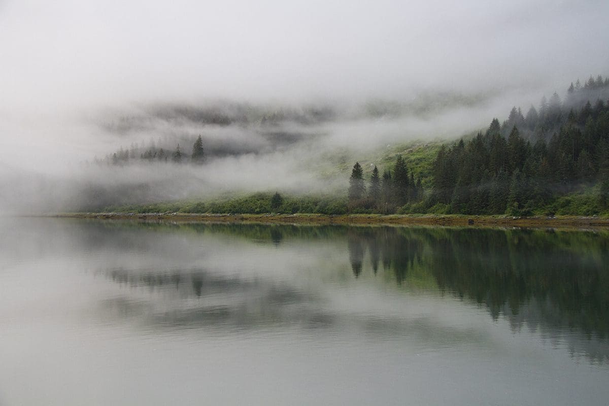 A lake surrounded by trees and mist.