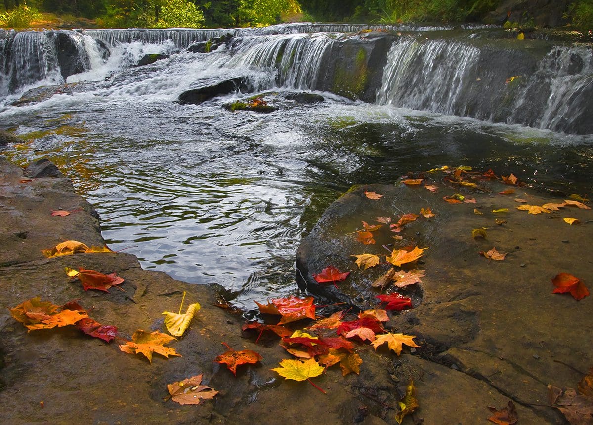 A waterfall surrounded by fall leaves and rocks.