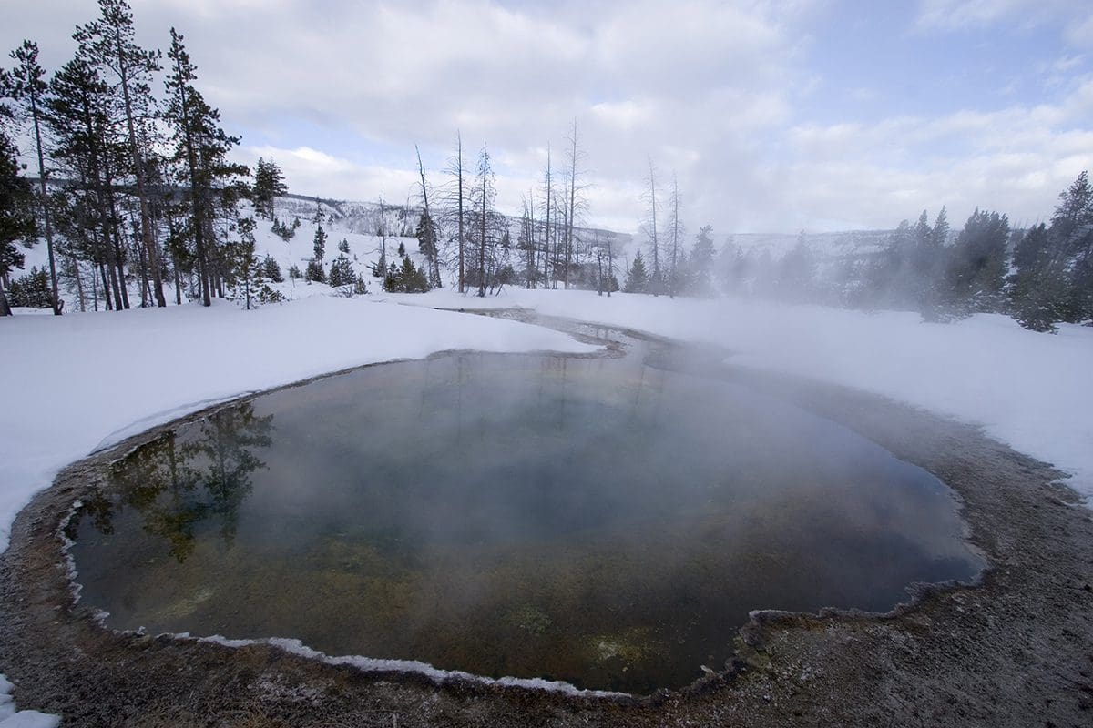 Hot springs in yellowstone national park.