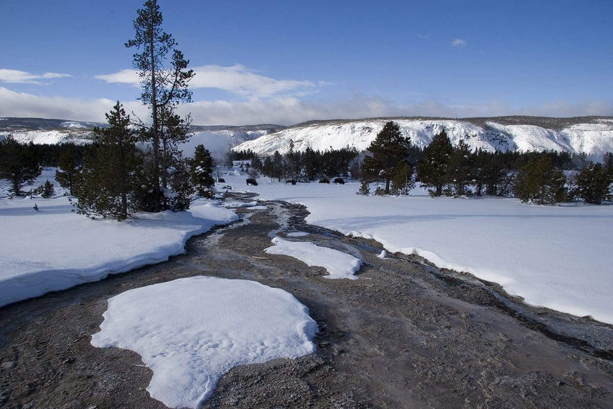 A stream running through a snow covered area in yellowstone national park.