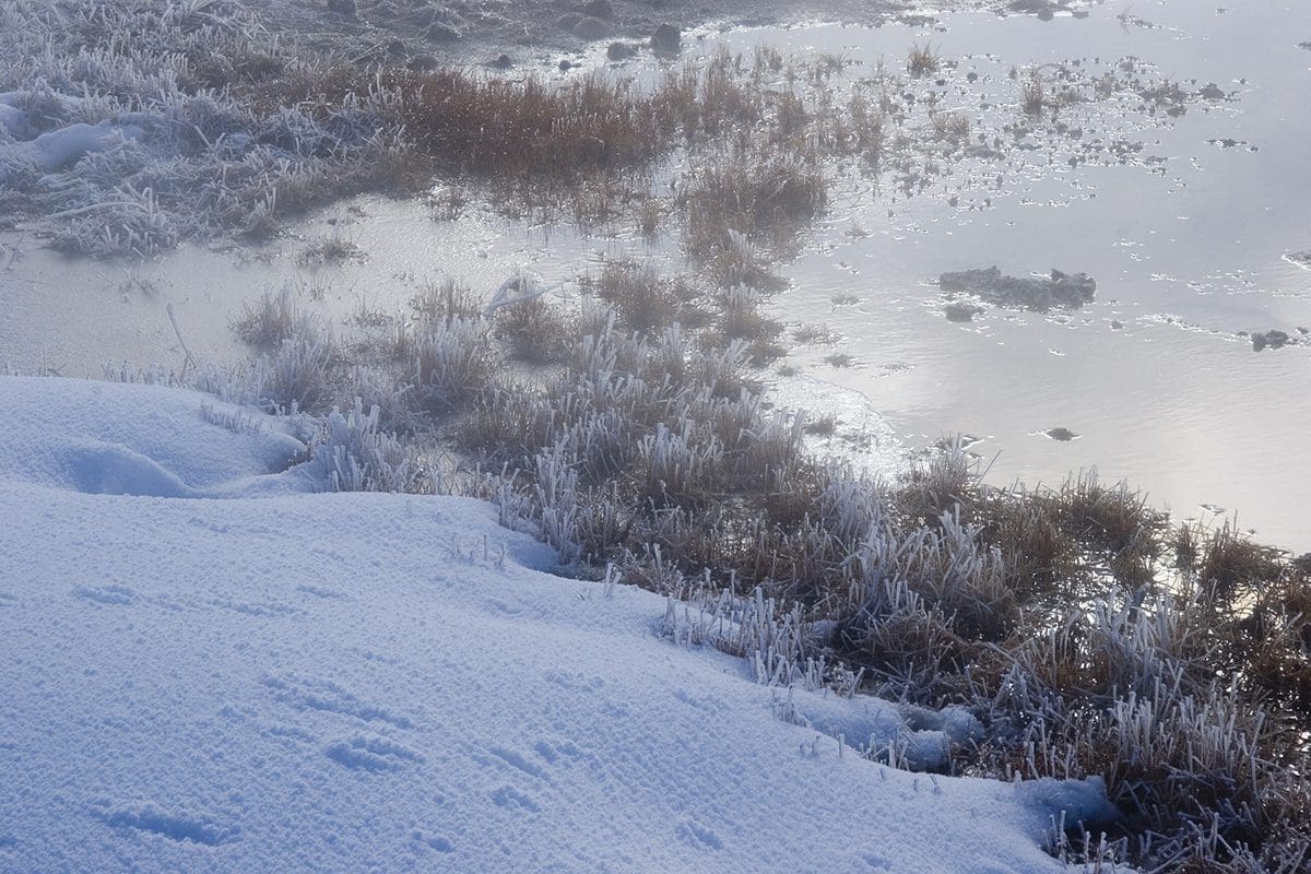 A small pond covered in snow and grass.