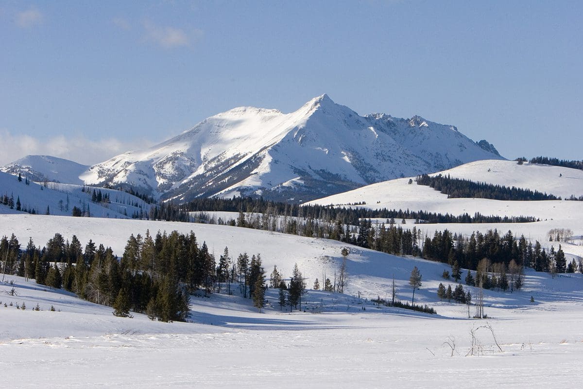 A snow covered mountain range with trees in the background.