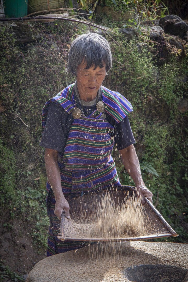 A woman is sifting grain into a tray.
