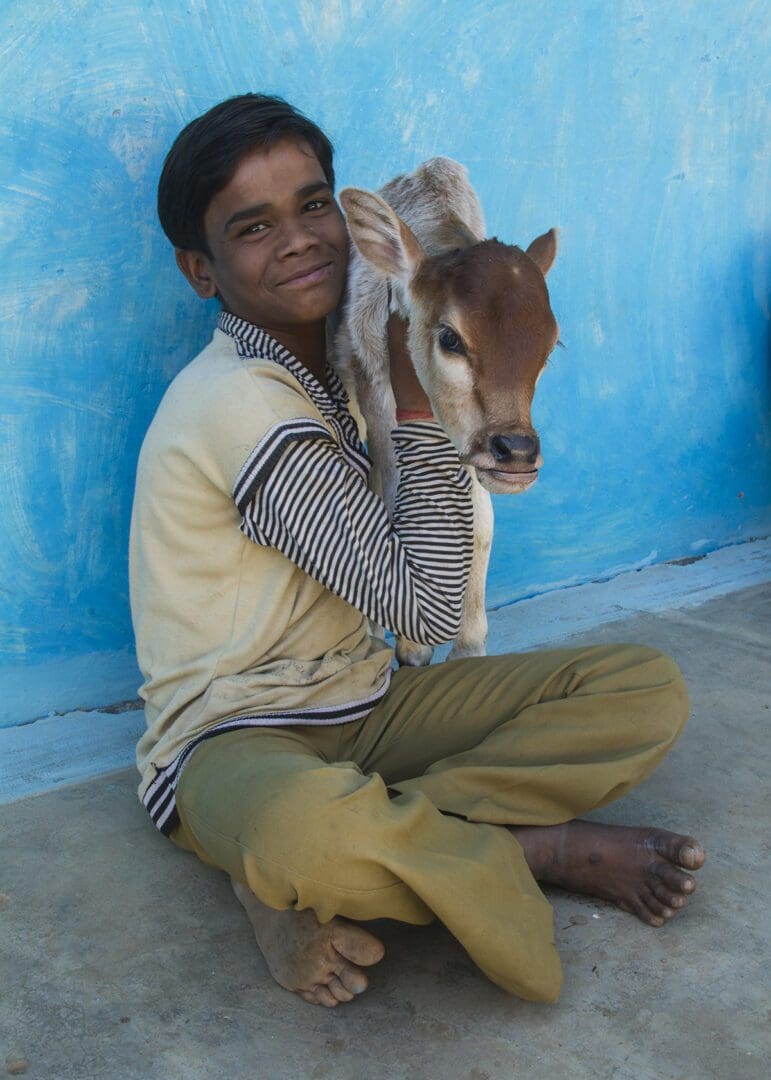 A boy is sitting on the ground holding a cow.
