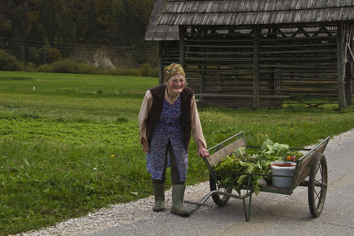 A woman pushing a wheelbarrow with plants.