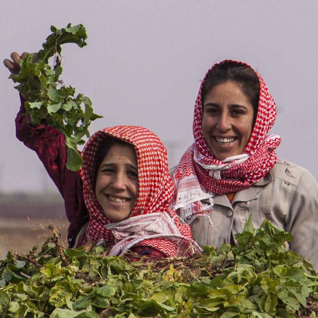 Two women standing in a field with a bunch of greens.