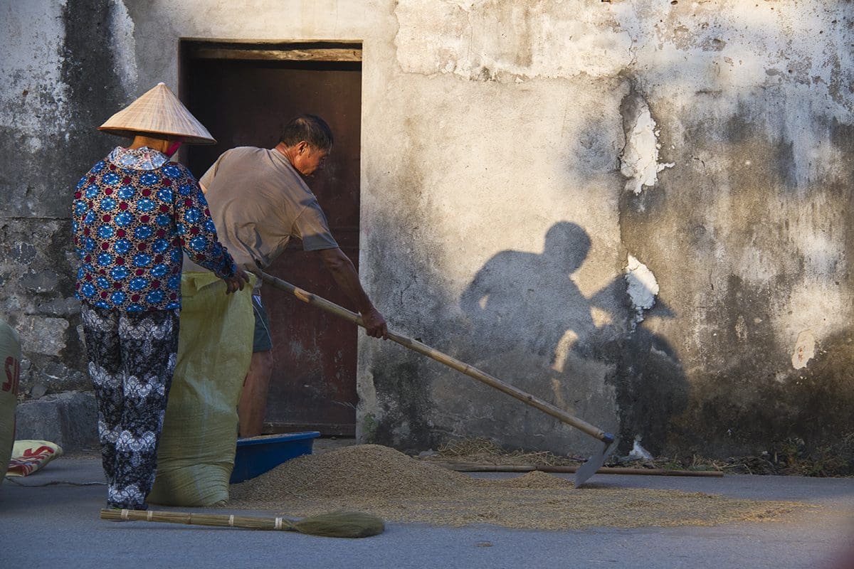 A man and a woman sifting rice on a street.