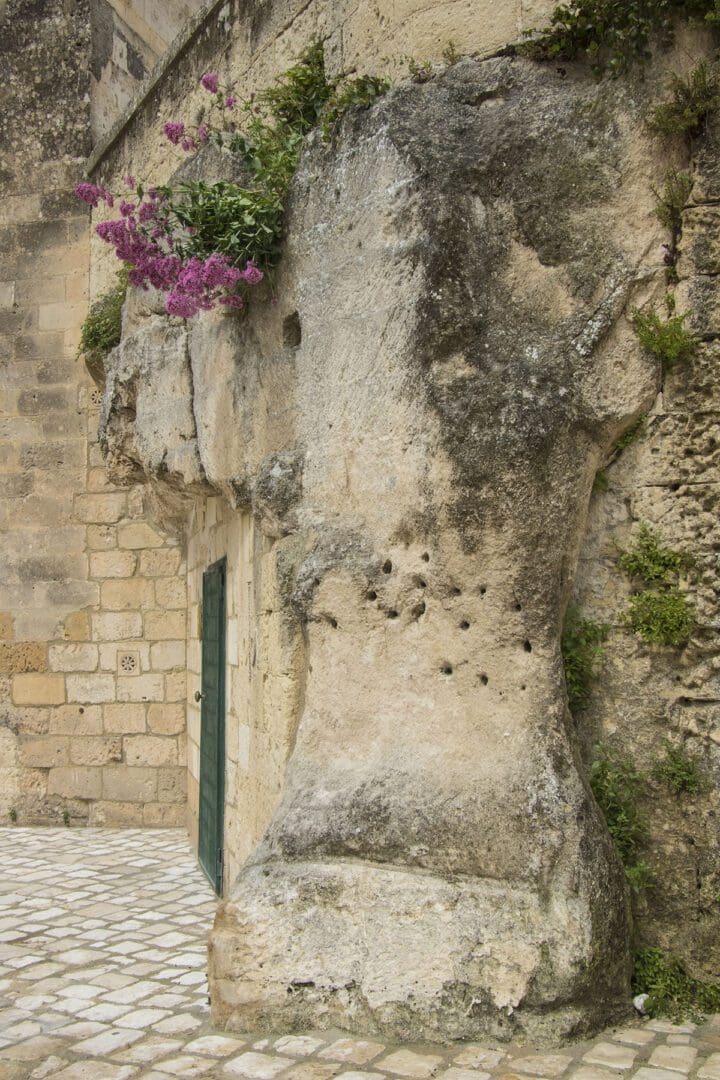 A stone wall with a flower growing out of it.