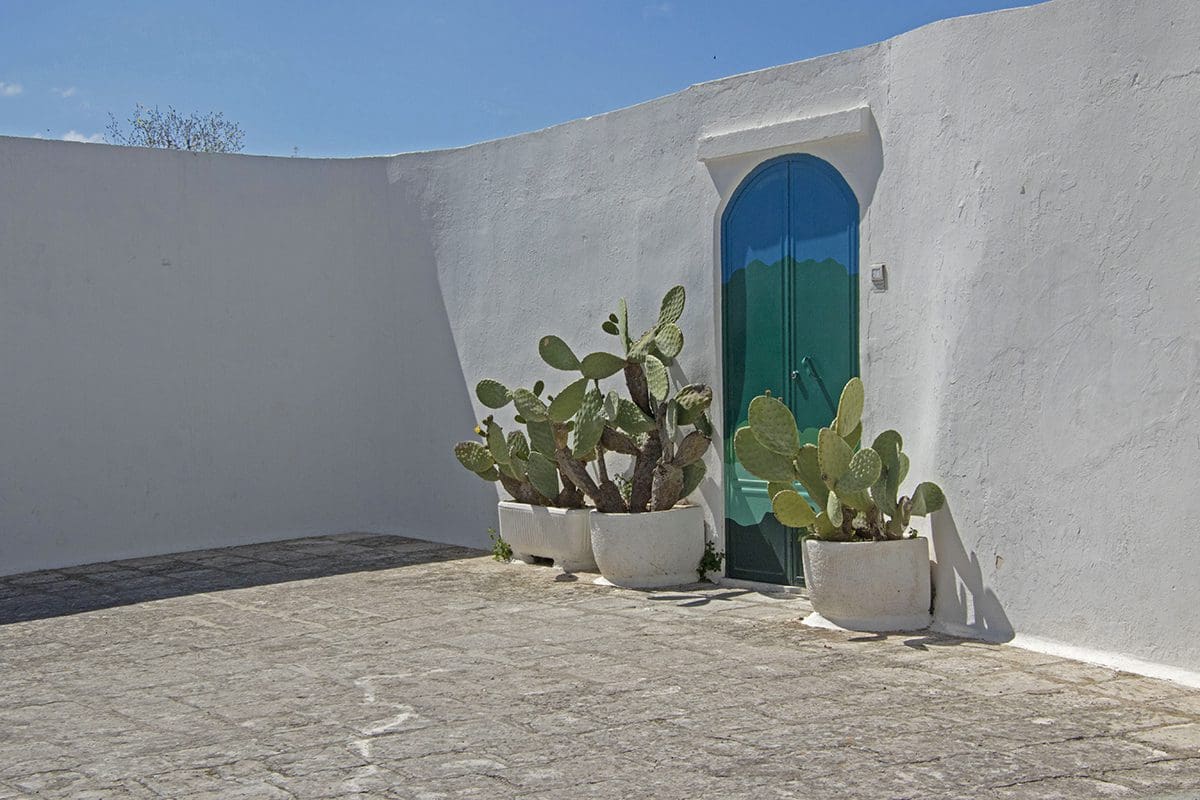 A white wall with cactus plants and a green door.