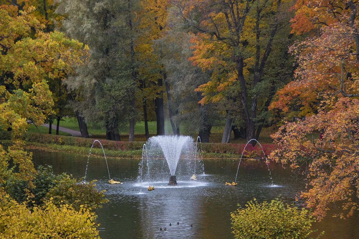 A fountain in the middle of a pond with trees in the background.