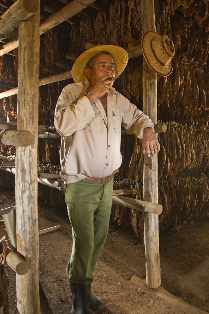A man smoking a cigar in a room full of tobacco.