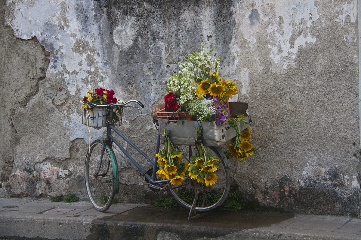 A bicycle with a basket of flowers next to a wall.