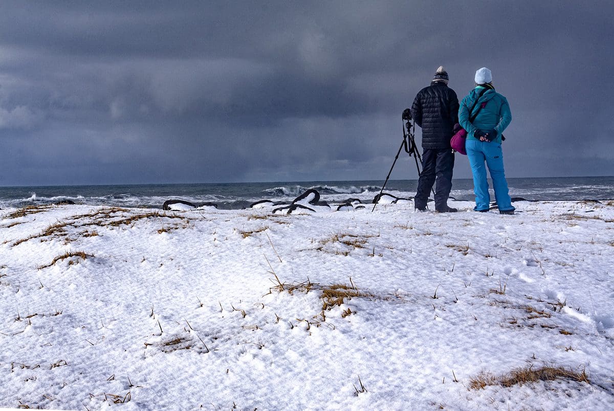 Two people standing on a snow covered hill looking at the ocean.