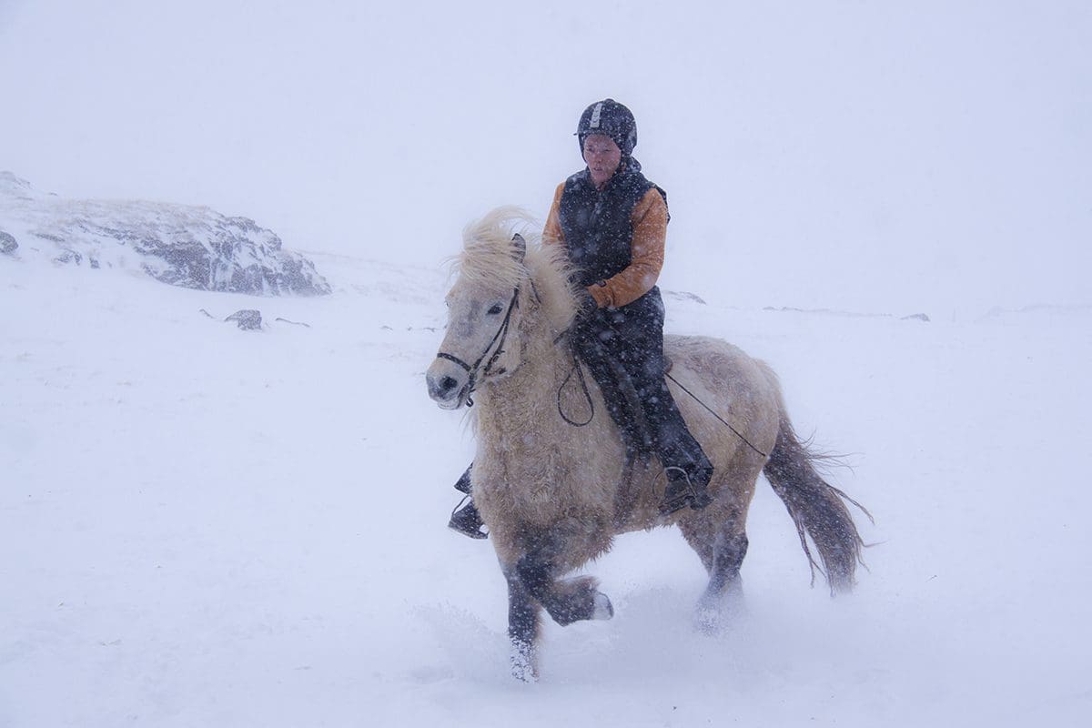 A person riding a horse in the snow.