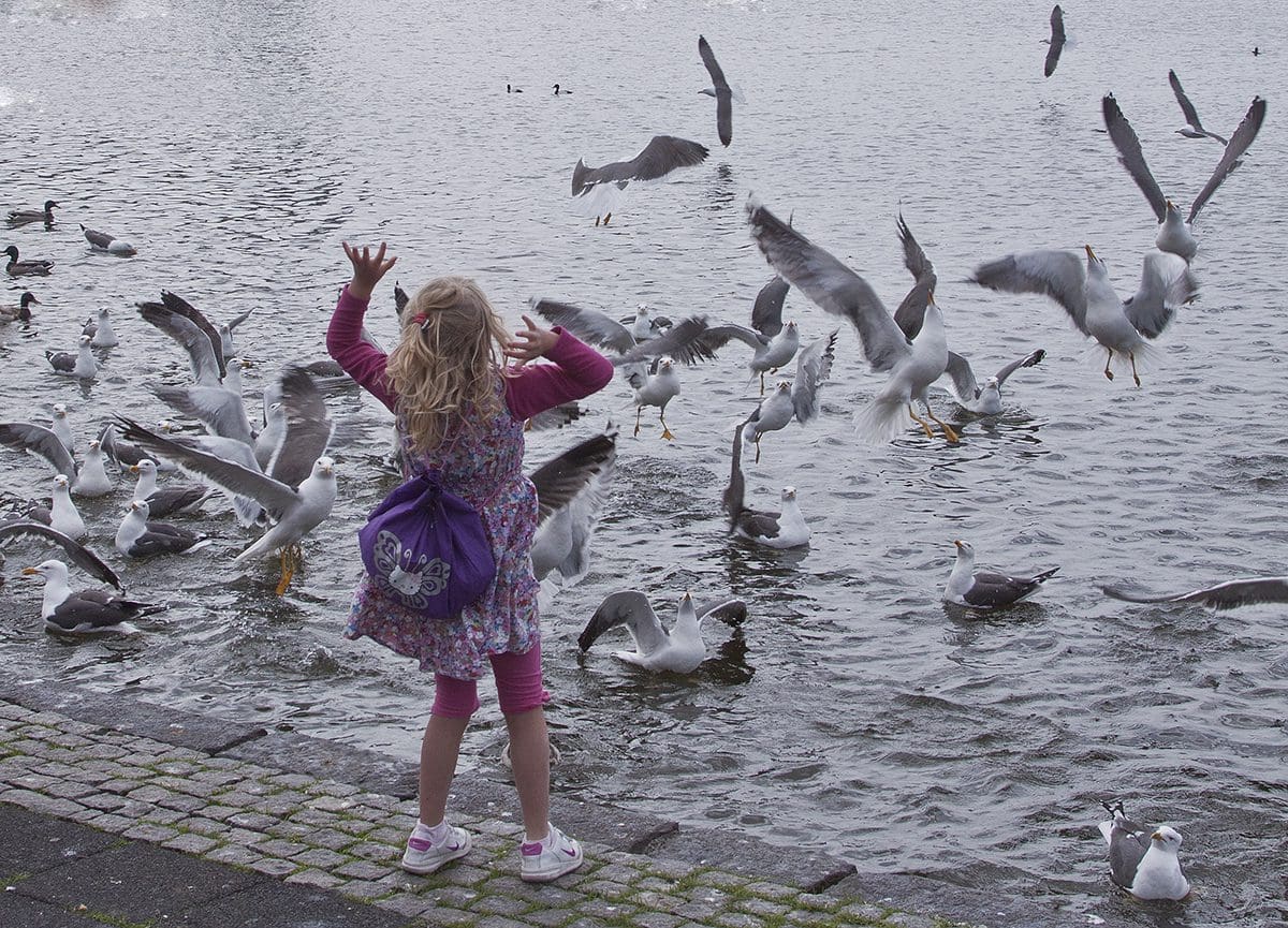 A girl is standing near a body of water with seagulls flying around her.