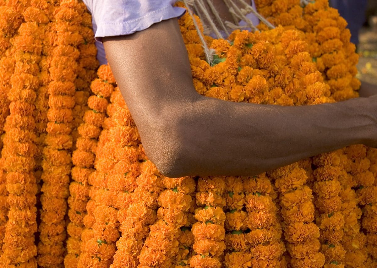 A man is carrying a bunch of orange flowers.
