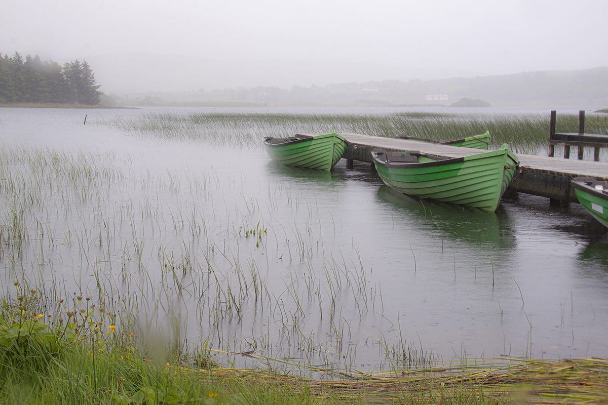 A group of boats on a dock in a foggy day.