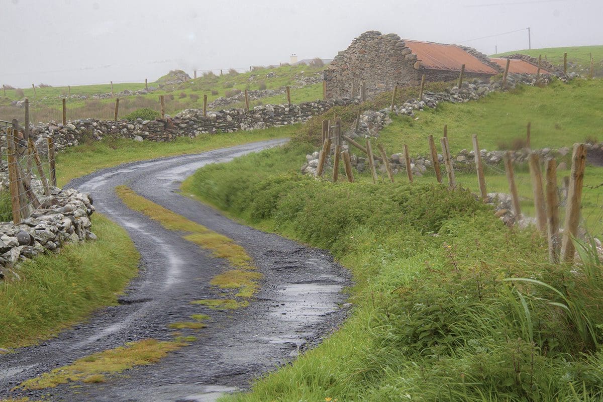 A dirt road leading to a farmhouse.