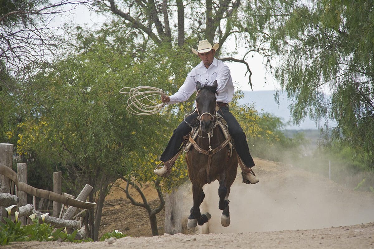 A man riding a horse on a dirt road.