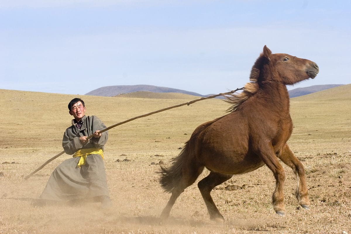 A man is pulling a horse with a stick.