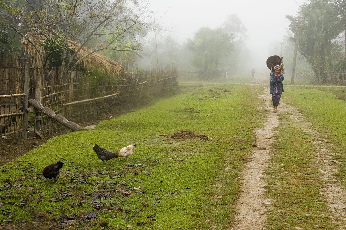 A woman walks down a dirt road with chickens.