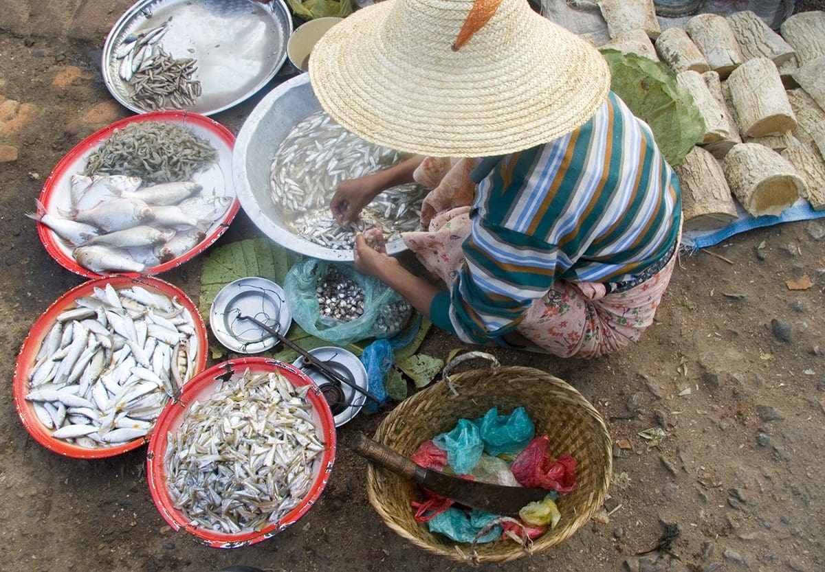 A woman is selling fish in baskets on the ground.