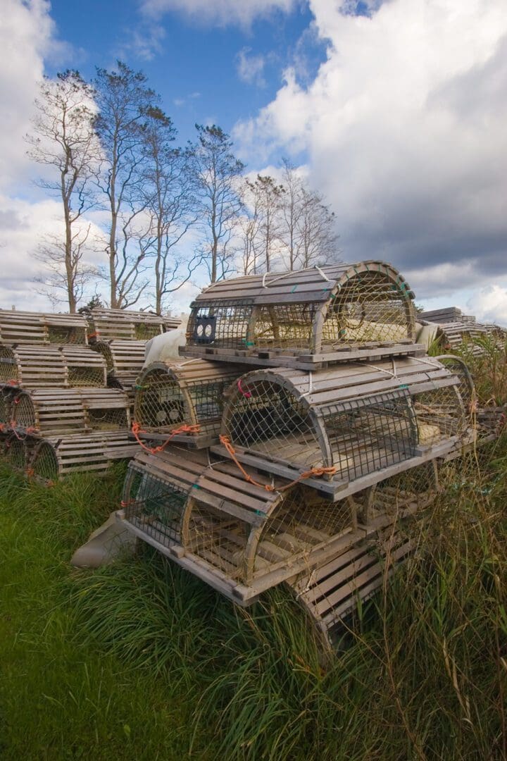 Lobster traps stacked in a grassy field.