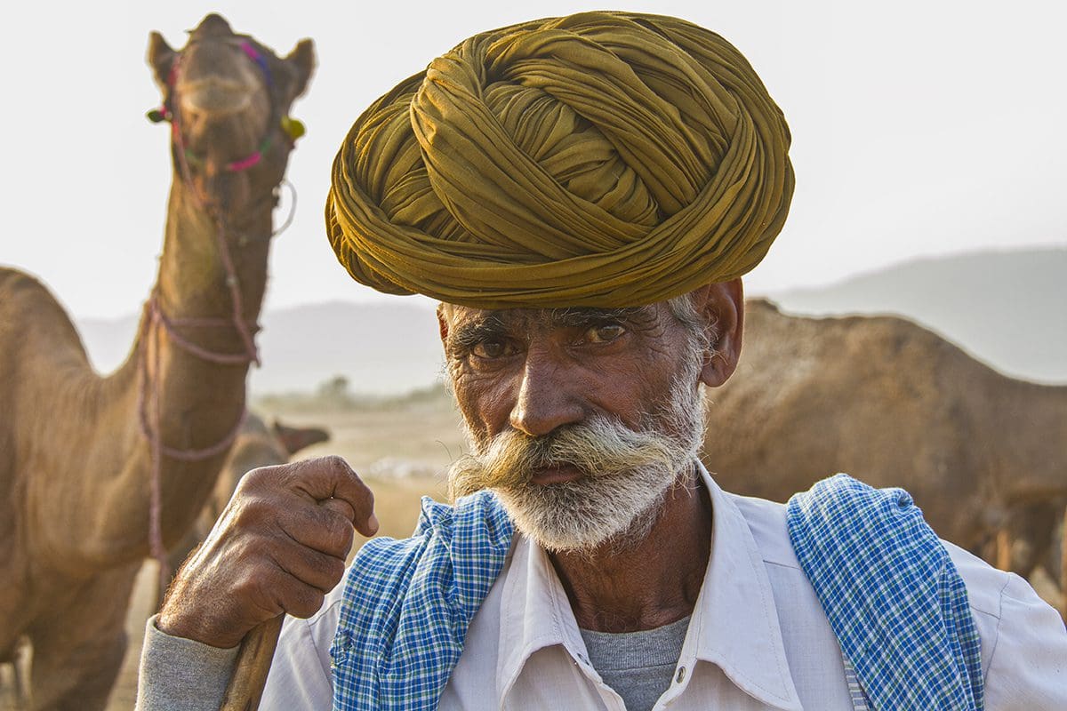 An indian man with a turban in front of camels.