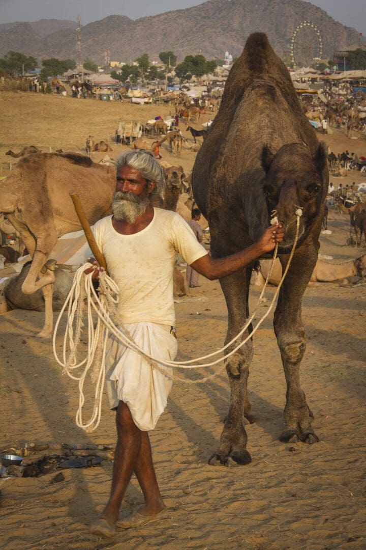 A man walking a camel.