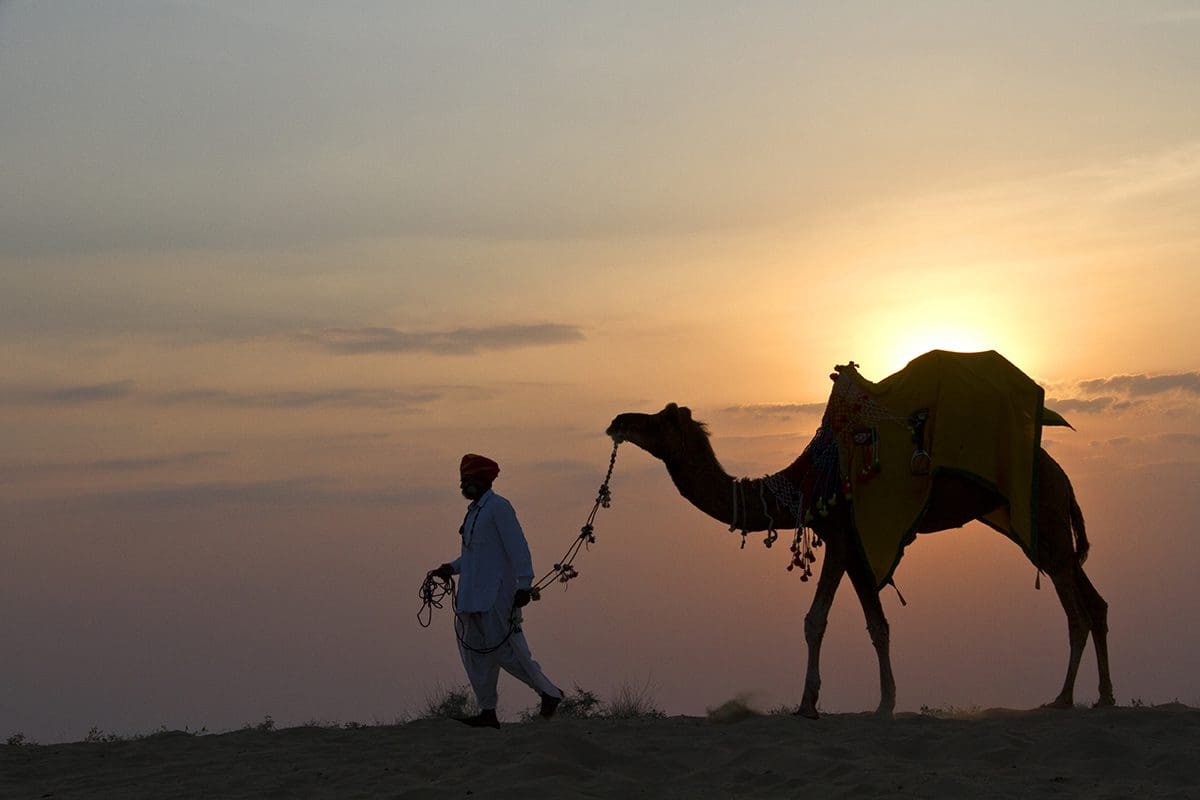A man walking a camel in the desert at sunset.