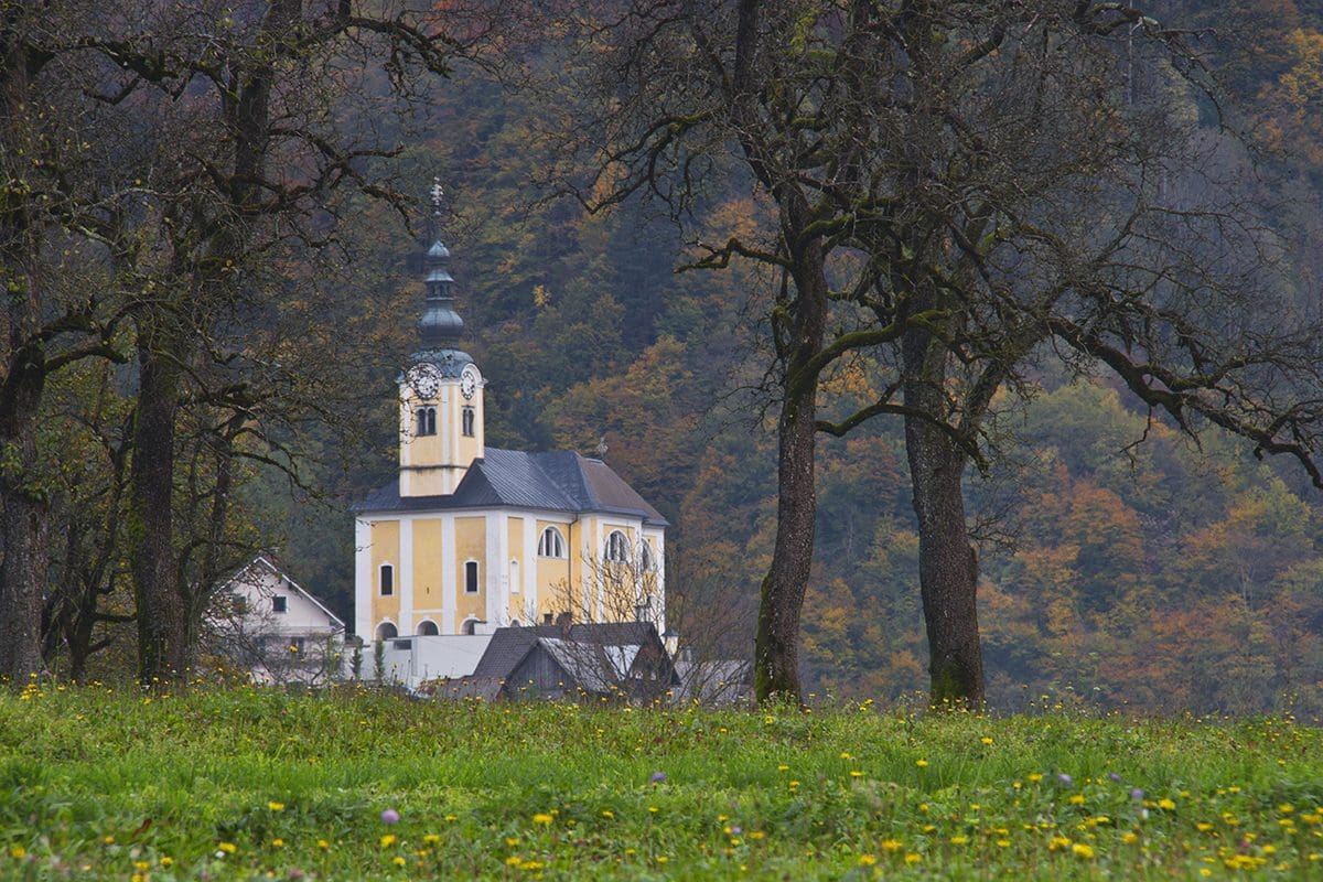 A church in the middle of a field surrounded by trees.