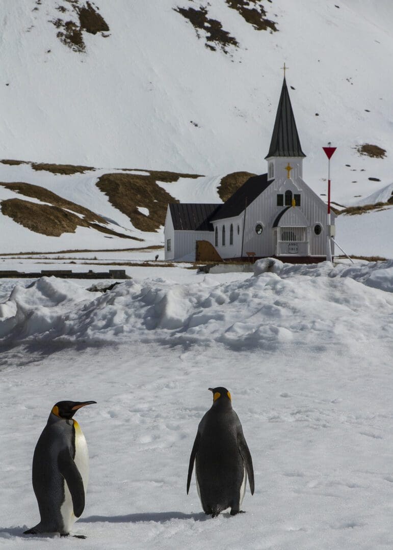 Two penguins standing in front of a church in the snow.