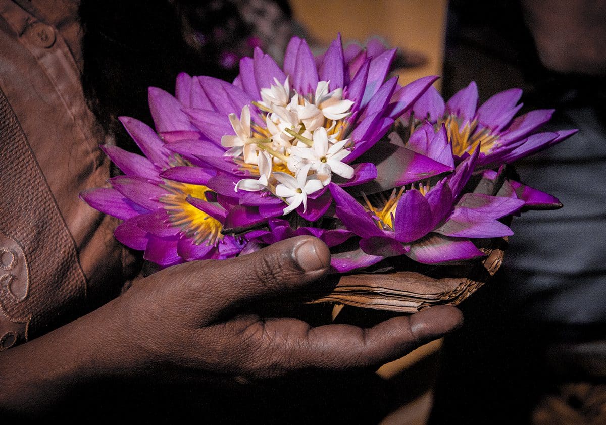 A person holding a bunch of purple flowers.