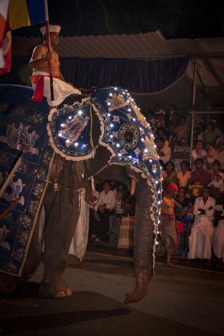 A man riding an elephant with a flag on his back.