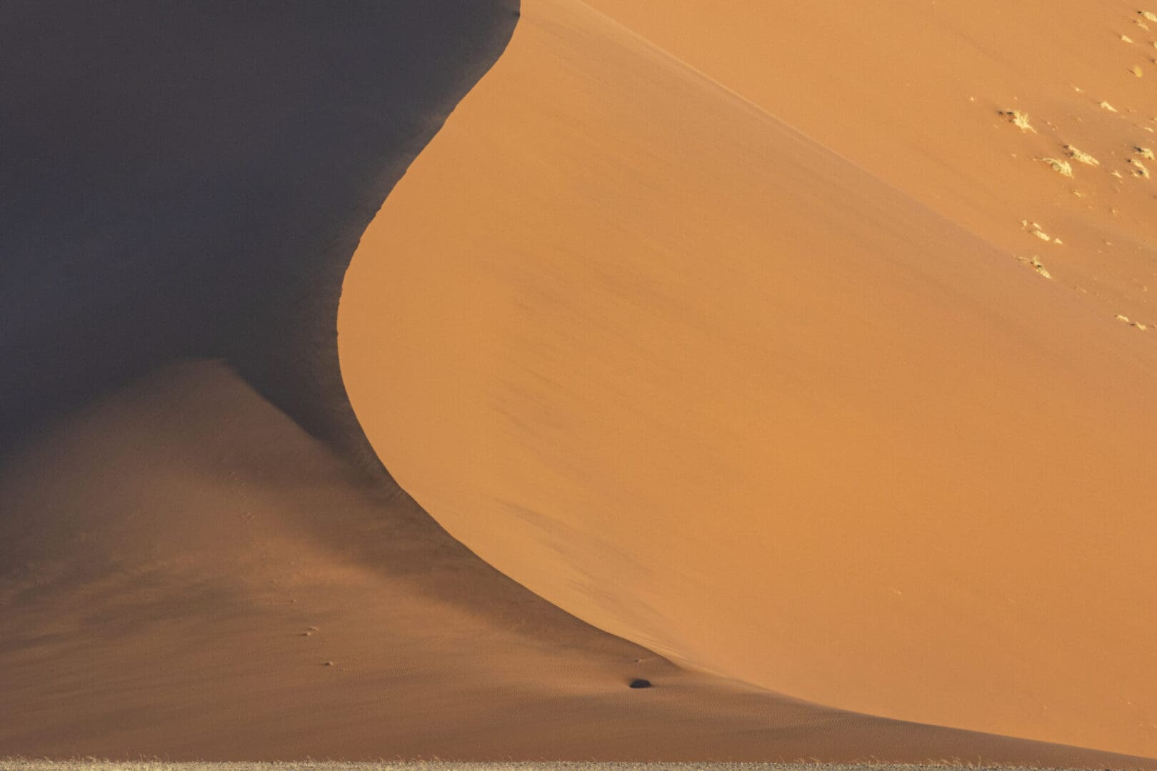 The sand dunes in the namibia sahara.