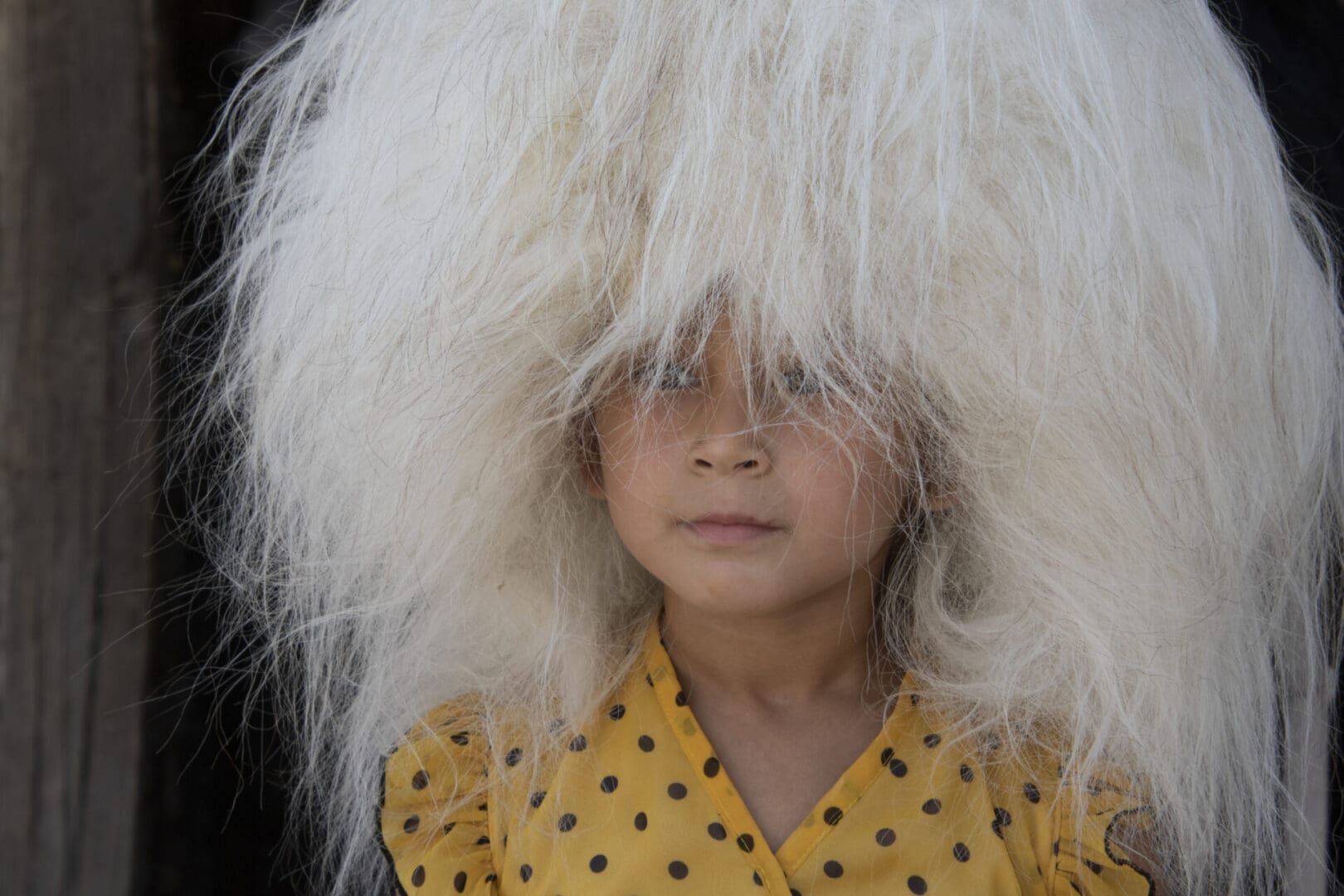 A girl with a large white wig.